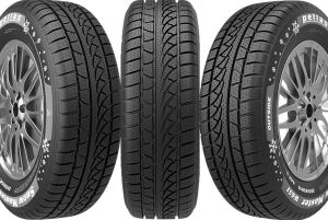 215/65 R15 TL 96H SNOW MASTER W651 PETLAS; 21930