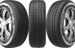 225/65 R17 TL 106H REINF. EXPLERO WINTER W671 PETLAS; 33818